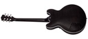 SX SEL6CTBK Archtop Transparent Black Guitarra Eléctrica 1