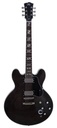 SX SEL6CTBK Archtop Transparent Black Guitarra Eléctrica 2