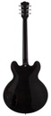 SX SEL6CTBK Archtop Transparent Black Guitarra Eléctrica 3