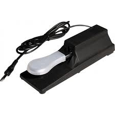 PROBAGS SP01 Pedal Sustain
