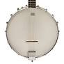 WASHBURN B7 NATURAL BANJO