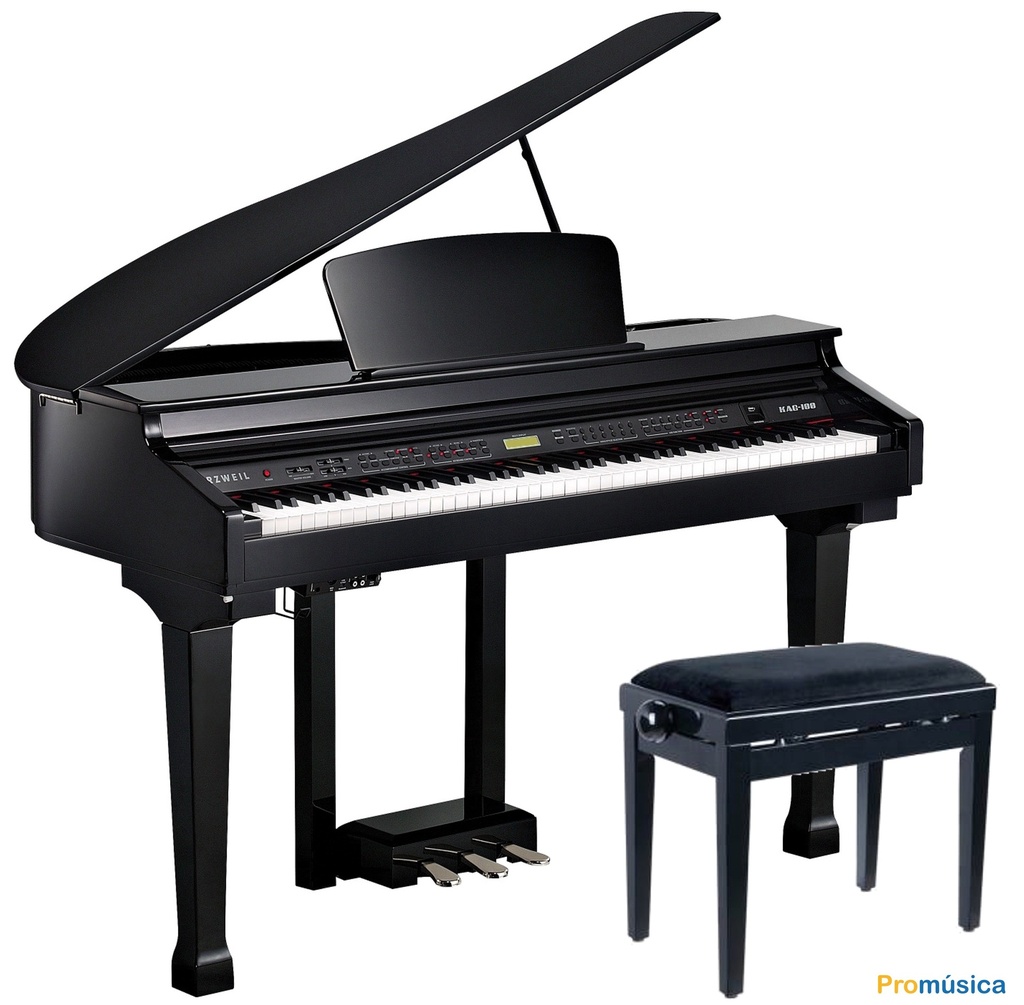 REBU-Kurzweil Kag-100 Negro Pulido